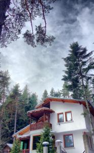 Вила Пенчеви, кк. Цигов чарк