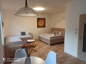 Apartmán BON - V Buckovém