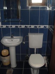 Pensiunea Pluto Sulina