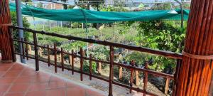 Flower & Frog Homestay