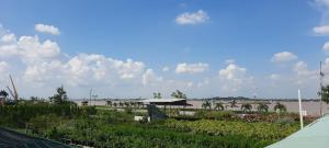 Flower & Frog Homestay