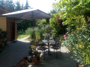 Agroturystyka u Agaty