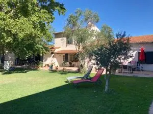 Mas Du Pont De Laute - Le Cailar