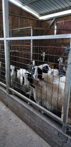 Agriturismo San Cataldo