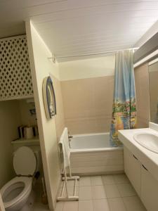 Appartements 2 pieces en Rez de jardin -