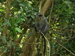 Kizimkazi Mkunguni, Zanzibar, Tanzania, Africa.