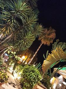 Palacio Sant Salvador