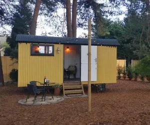 Forest Heath Shepherd's Huts - Three Legged Cross