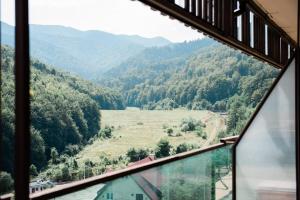 Nature Escape Apartment