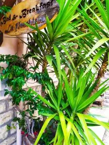 B&B La Peschiera - Gorga