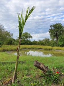 Africa Safari Selous Nyerere national park