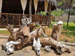 Africa Safari Selous Nyerere national park