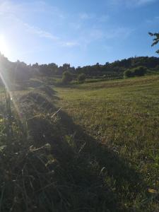 Apartma Gorca Plevnik