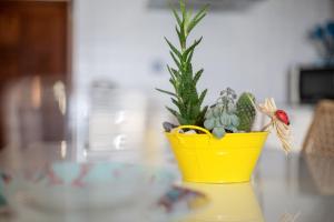 Apartamento Abuelo Miguel