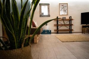 Apartment Charme and Relax with Garden and Swimming Pool