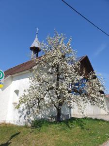 Ferienwohnung Rupp Bergblick & private Sauna