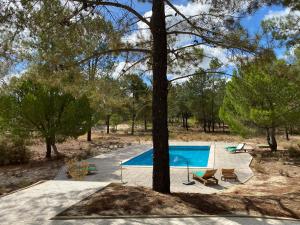 Villa Sal - Spacious, private Apartment in a Villa with pool