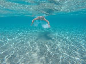 Tertenia Centro img22