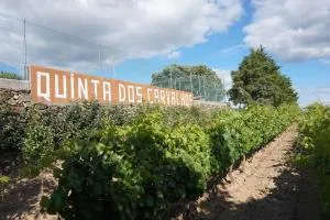 Quinta Dos Carvalhos - Arcas