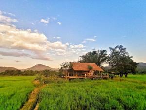 Wanmai Farm Stay Muangkong วันใหม่ฟาร์มสเตย์ เมืองคอง เชียงดาว