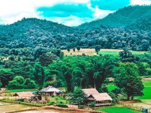 Wanmai Farm Stay Muangkong วันใหม่ฟาร์มสเตย์ เมืองคอง เชียงดาว