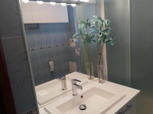 apartameny Tadeusz 406