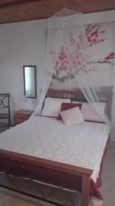Panos and Chrisas House Argolida Greece