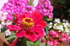 Biebrzańska Zagroda