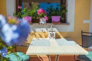 Apartments Bašarinka