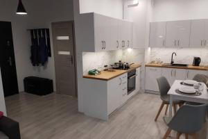 Komfortowy Nowoczesny Apartament Kustronia z Garażem Balkonem Wanną