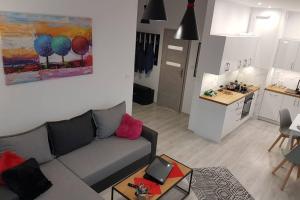 Komfortowy Nowoczesny Apartament Kustronia z Garażem Balkonem Wanną
