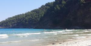 Seaside Deluxe Apartment Thassos Greece
