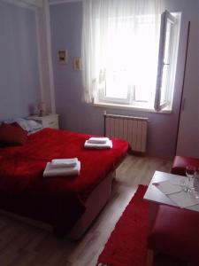 One-Bedroom Apartment with Terrace room in Apartments and rooms by the sea Baska Voda Makarska - 2675