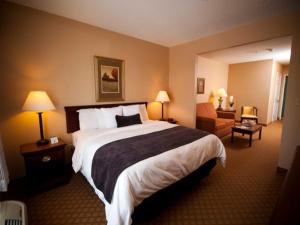 King Studio room in Town & Country Inn and Suites