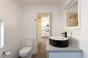 Dingo at White Gum Lodge