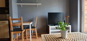 Nice and cosy apartment in Pruszcz Gdanski