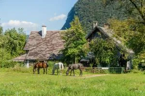 Charming blacksmith`s house @ Lake Bohinj - Srednja Vas v Bohinju