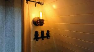 Owl Hut Cosy Ensuite Pod Snowdonia Coast Sleeps 2