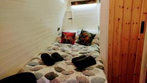 Owl Hut Cosy Ensuite Pod Snowdonia Coast Sleeps 2