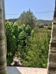 Pansion Episkopi Studios Skopelos Greece