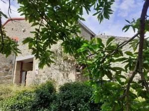 La Laguna - Los Loros