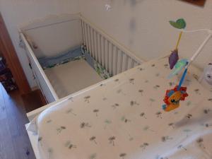 The foxs family home - Veysonnaz