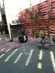 Techos amarillos 1 - 阿加斯杜尔斯