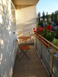 Apartament Regina