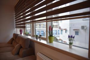 Apartment Lux Fontana