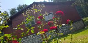 Chata SPOLUNAKOLE - Český ráj