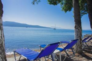 Flisvos Seaside Apartments Lefkada Greece