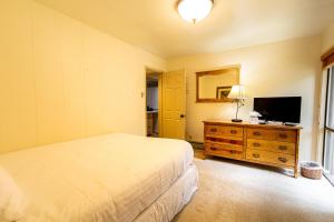 Wild Irishman #1042 by Summit County Mountain Retreats