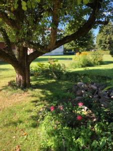 Strandgården Karlstad