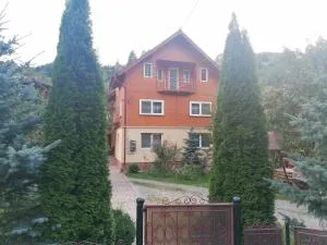 CASA TODEA - Vîrtop